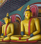 File:Mission protect lankan buddhism.png